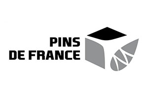 Logo Pins De France